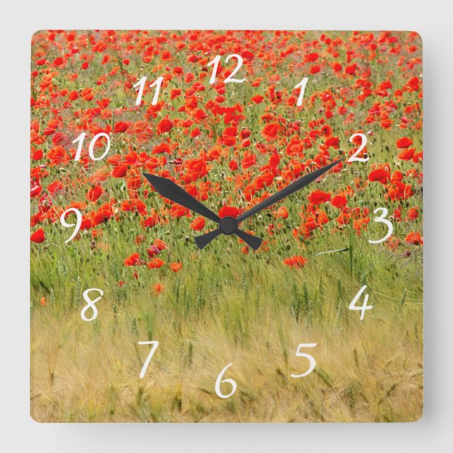 Cuadrado reloj de flores rojo de verano (Anverso)