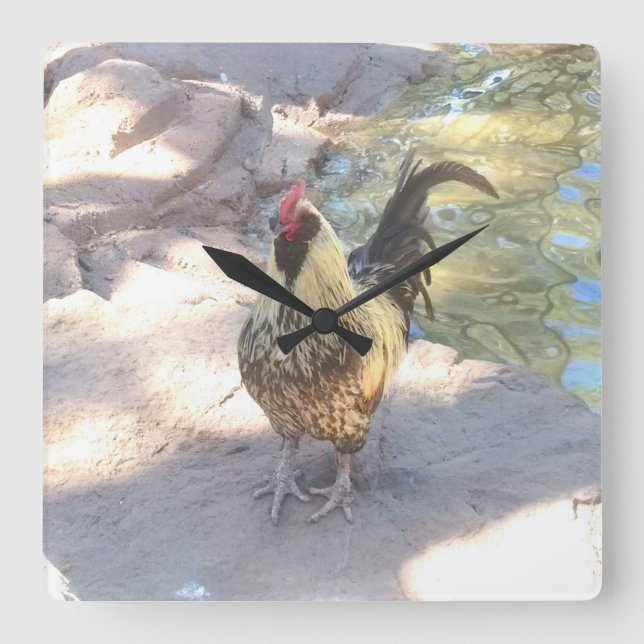 Cuadrado Reloj de gallos (Anverso)
