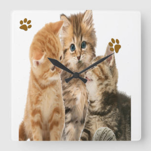 Cuadrado reloj de gatitos