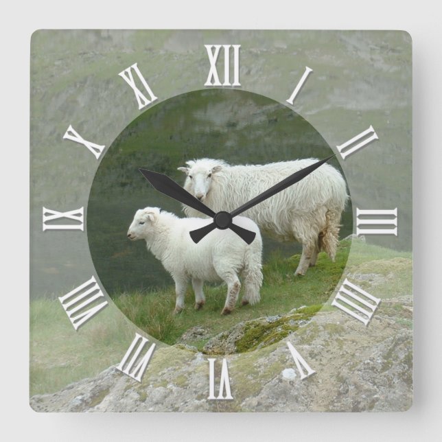 Cuadrado Reloj de granjeros, ovejas escocesas, montañas, Es (Anverso)