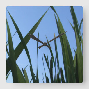 Cuadrado Reloj de hierba