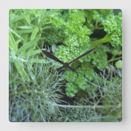 Cuadrado Reloj de hierbas