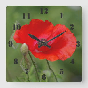 Cuadrado Reloj de la amapola