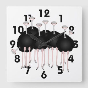 Cuadrado Reloj de la avestruz