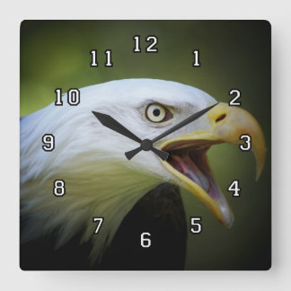 Cuadrado Reloj de la cabeza del águila