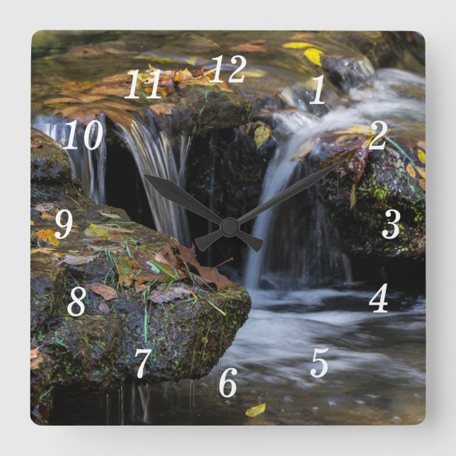 Cuadrado Reloj de las hojas y cascadas (Anverso)