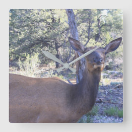 Cuadrado Reloj de los alces
