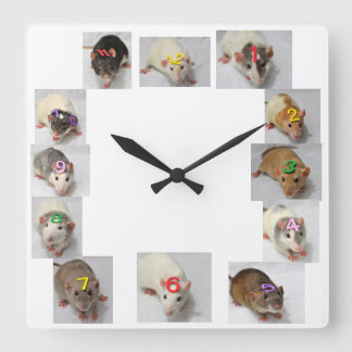 Cuadrado Reloj de lujo de la rata