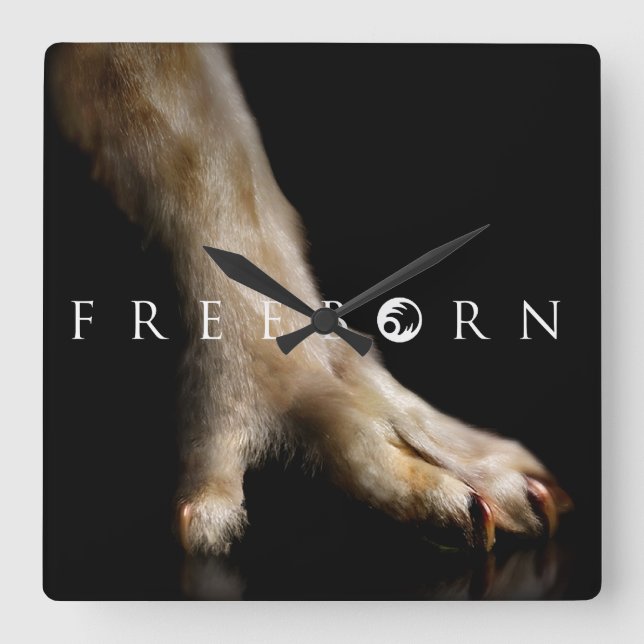 Cuadrado Reloj de pájaros de Freeborn! (Anverso)