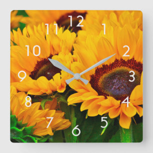 Cuadrado Reloj de pintura de girasol de verano hermoso