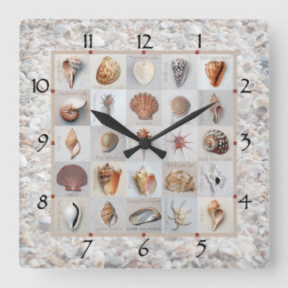 Cuadrado Reloj de playa de Shell