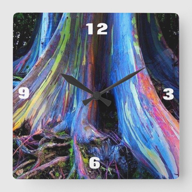 Cuadrado Reloj del ÁRBOL de EUCALIPTO del ARCO IRIS (Anverso)