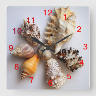 Cuadrado Reloj del arreglo del Seashell