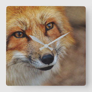 Cuadrado Reloj del Fox rojo