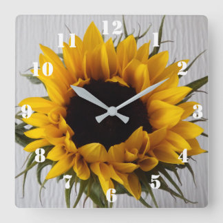 Cuadrado Reloj del girasol