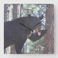 Reloj del oso negro