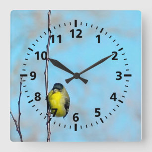 Cuadrado Reloj - Finca amarilla