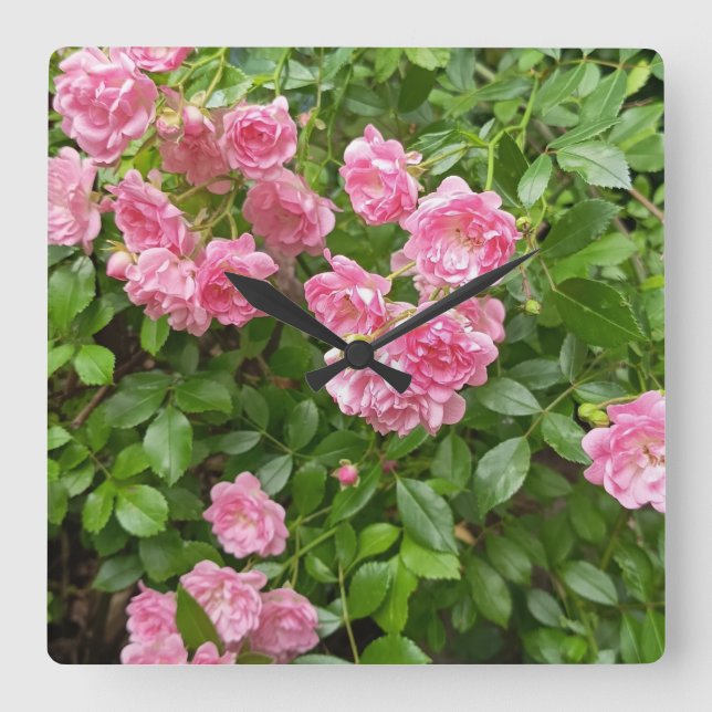Cuadrado Reloj floral jardín de rosas rosadas (Anverso)