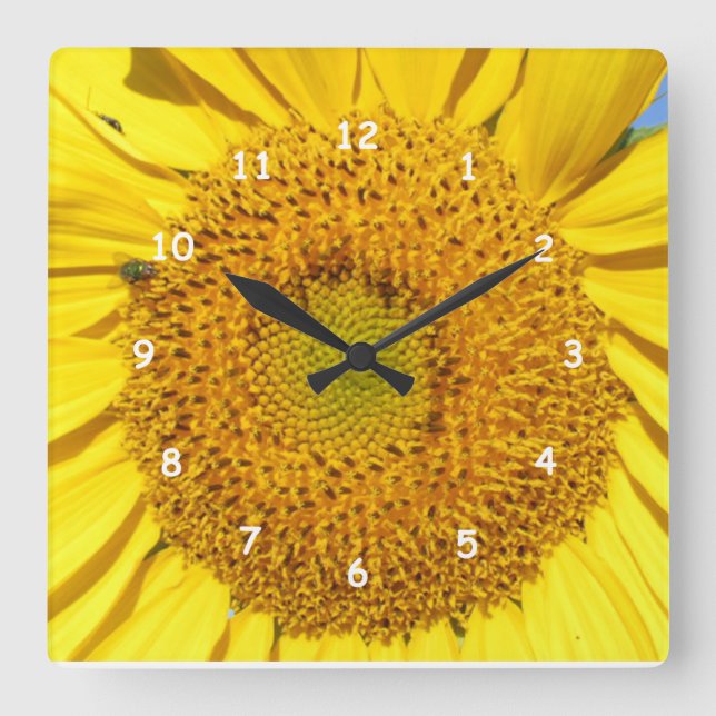 Cuadrado Reloj - floretes del girasol (Anverso)