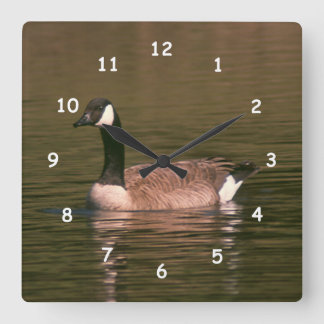 Cuadrado Reloj - ganso canadiense