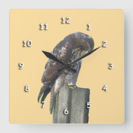 Cuadrado Reloj - Halcón en Post