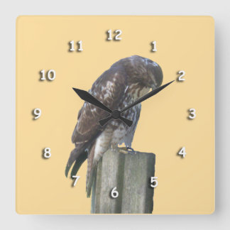Cuadrado Reloj - Halcón en Post
