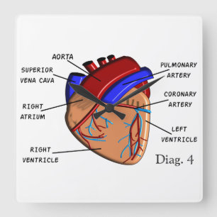 Cuadrado Reloj humano del diagrama del corazón