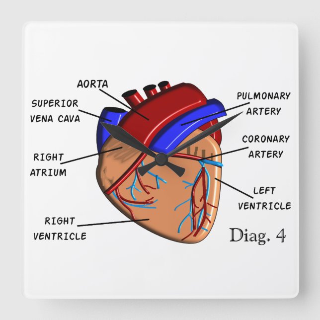 Cuadrado Reloj humano del diagrama del corazón (Anverso)