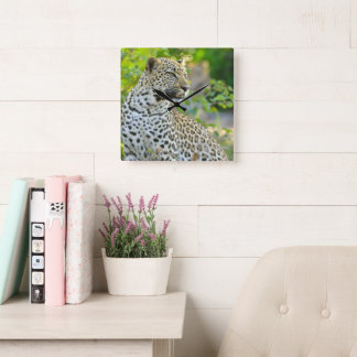 Cuadrado Reloj leopardo