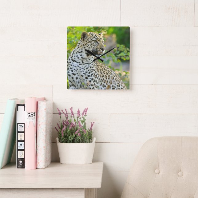 Cuadrado Reloj leopardo  (Sala de lectura)