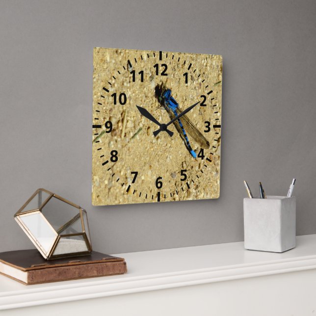 Cuadrado Reloj - Libélula azul (Oficina)