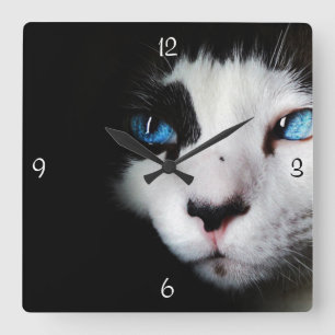 Cuadrado Reloj observado azul misterioso del gato del