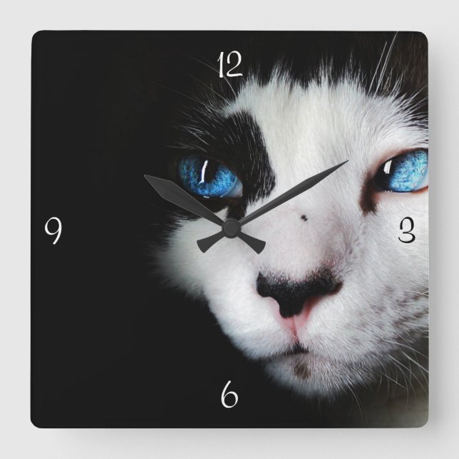 Cuadrado Reloj observado azul misterioso del gato del (Anverso)