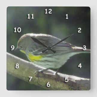 Cuadrado Reloj - Pájaro con plumas amarillas