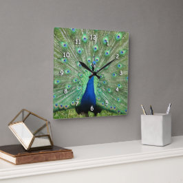 Cuadrado Reloj - Plumas de cola de pavo real