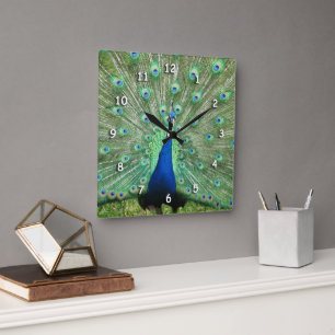 Cuadrado Reloj - Plumas de cola de pavo real