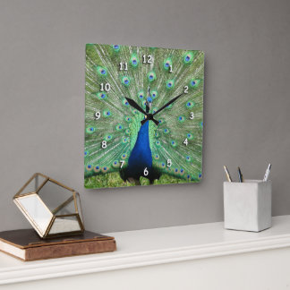 Cuadrado Reloj - Plumas de cola de pavo real