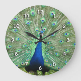 Cuadrado Reloj - Plumas de cola de pavo real