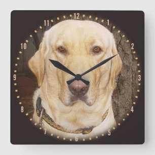 Cuadrado Reloj redondo de Labrador amarillo guapo