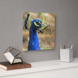 Cuadrado Reloj - Retrato de pavo real