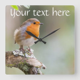 Cuadrado reloj Robin agrega tu propio texto