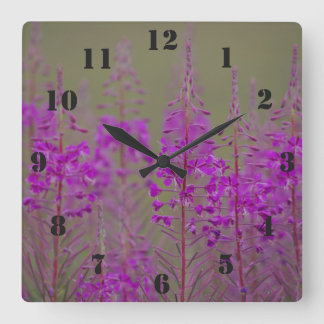 Cuadrado Reloj Rosebay Willowherb