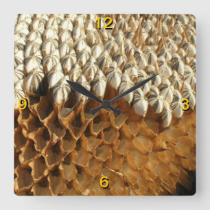 Cuadrado Reloj - Semillas de girasol
