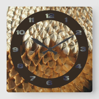 Cuadrado Reloj - Semillas de girasol con círculo