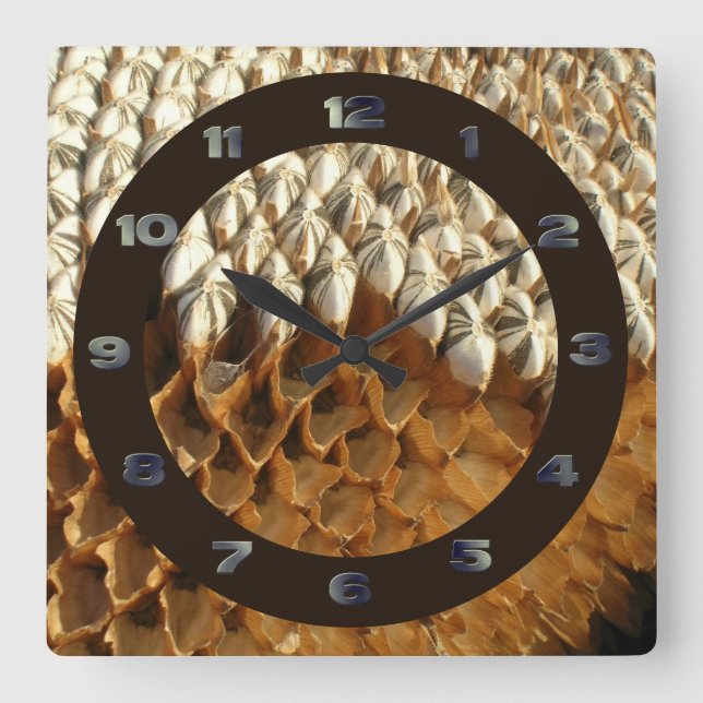 Cuadrado Reloj - Semillas de girasol con círculo (Anverso)