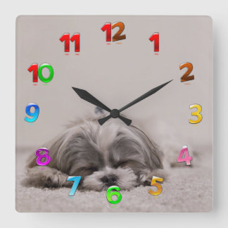 Cuadrado Reloj Shih Tzu durmiendo, perro durmiendo