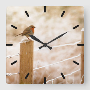 Cuadrado Robin en el Reloj de Correos