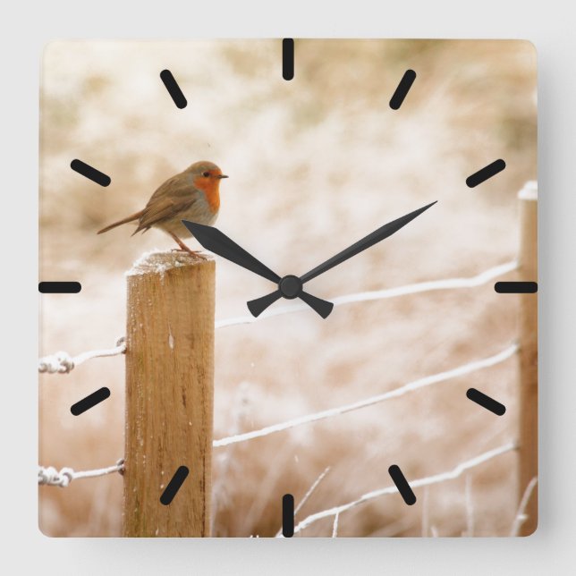 Cuadrado Robin en el Reloj de Correos (Anverso)