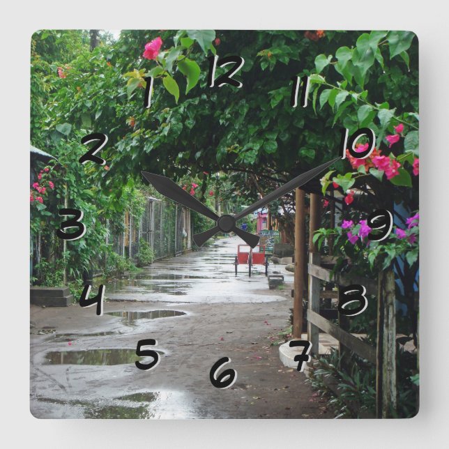 Cuadrado Tortuguero Costa Rica después del reloj posterior (Anverso)