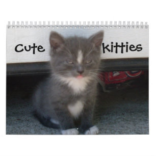 CUADRAR calendario de KITTIES